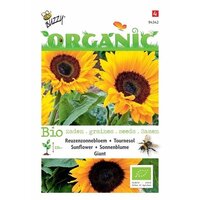 Organic zonnebloem giganteus 3gram - afbeelding 1