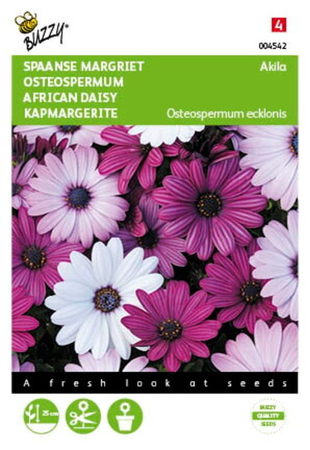 Osteospermum akila mix spaanse marg - afbeelding 1