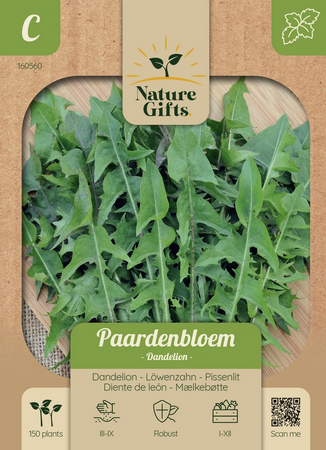 Paardenbloem dandelion 150st