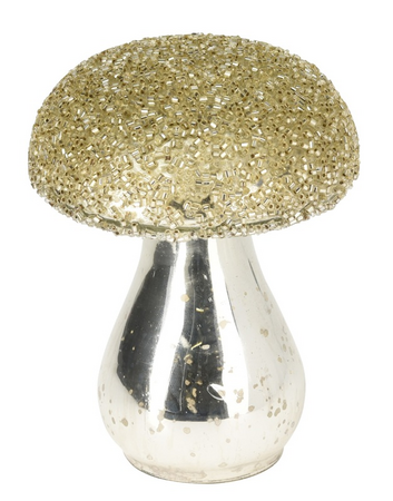 PADDENSTOEL GLAS 8X10CM C.GOUD