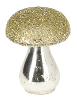 PADDENSTOEL GLAS 8X10CM C.GOUD