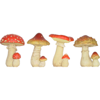 Paddenstoel l14b13h17cm