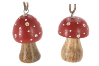 PADDESTOEL HANGDECO 2ASS