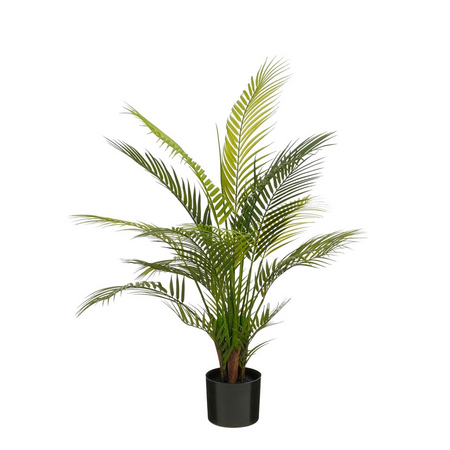 Palm areca in pot d40h91cm groen
