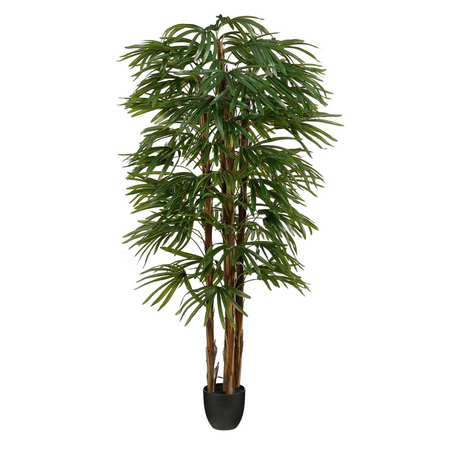 Palm raphis d75h180cm groen
