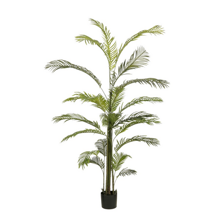 Palmboom d110h220cm groen