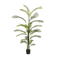 Palmboom d110h220cm groen