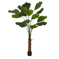 Palmboom in pot d95h210cm groen