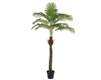 Palmboom plastic pot h230cm groen (Zijde-plant)