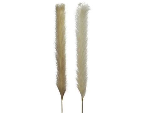 Pampas polyester l4b10h130cm assorti per stuk  (Zijde-tak)