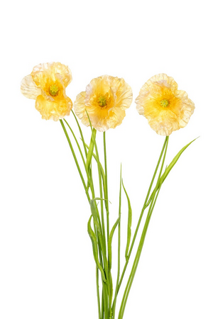 Papaver/grassteel l70cm geel