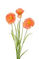 Papaver/grassteel l70cm koraal