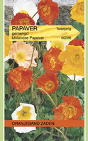 Papaver nudicaule mix 0.3g - afbeelding 3