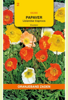 Papaver nudicaule mix 0.3g