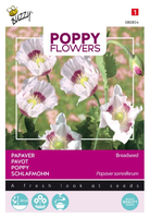 Papaver poppies of the world b 1g