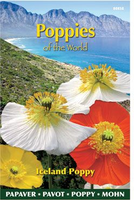 Papaver poppies of the world i 0.5gram - afbeelding 5
