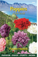 Papaver poppies of the world p 1gram - afbeelding 3