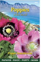 Papaver poppies of the world s 1gram - afbeelding 3