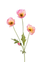 Papaversteel x4 l60cm roze