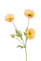 Papaversteel x4 l60cm zalm