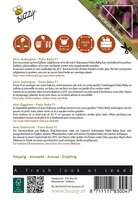 Patio aubergine patio baby f1 6zdn - afbeelding 2