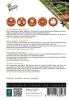 Patio courgette patio star f1 6zdn - afbeelding 2