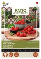 Patio tomaat gourmandise red 10zdn - afbeelding 1