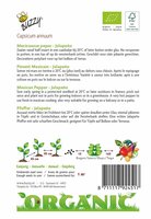Peper jalapeno (bio) - afbeelding 2