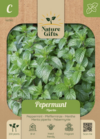 Pepermunt piperita 200st