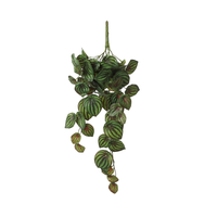 Peperomia hang l58b20h14cm groen (Zijde-plant)