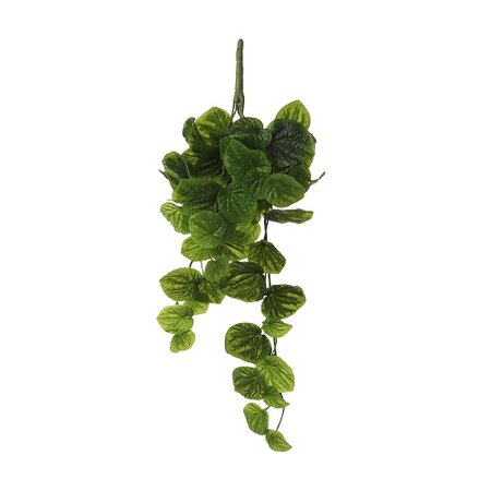 Peperomia hang l58b20h14cm groen (Zijde-plant)