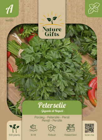 Peterselie gigante di napoli