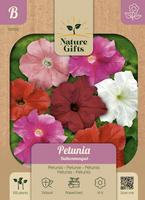 Petunia balkonmengsel 100st