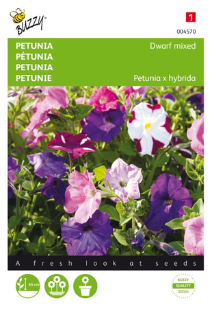 Petunia hybrida nana comp. mix 0.2gram - afbeelding 1