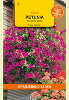 Petunia purp wave f1 hybride 12pil - afbeelding 1