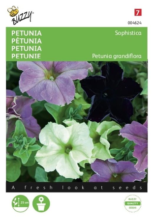 Petunia sophistica gemengd 10zaden - afbeelding 1