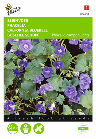 Phacelia campanularia 0.1gram - afbeelding 1