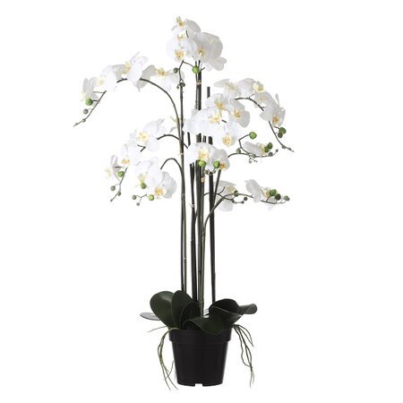 Phalaenopsis in pot d19h97cm creme (Zijde-plant)