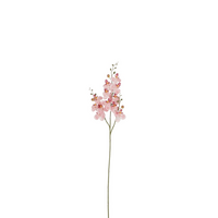 Phalaenopsissteel l75cm roze