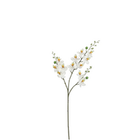 Phalaenopsissteel l75cm wit