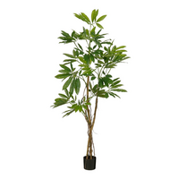 Philodendron d80h120cm groen