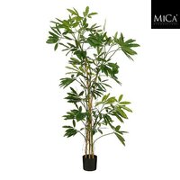 Philodendron d90h150cm groen