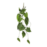 Philodendron hang l80cm groen