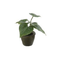 Philodendron in pot h25cm groen (Zijde-plant)