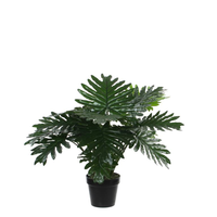 Philodendron in pot d80h60cm groen (Zijde-plant)
