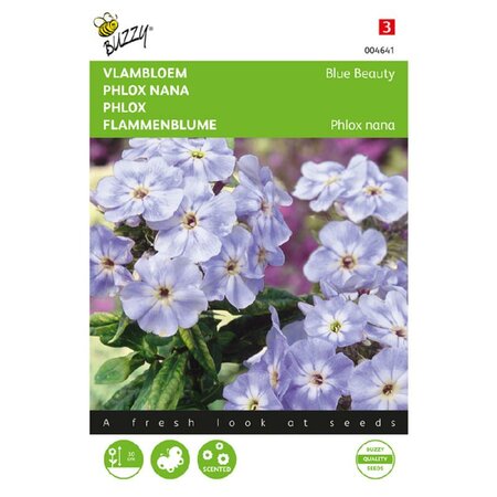 Phlox nana blue beauty 0.4g - afbeelding 1