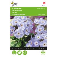 Phlox nana blue beauty 0.4g