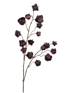 Physalissteel l100cm paars