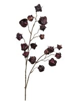 Physalissteel l100cm paars