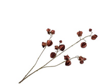 Physalistak l92cm rood/bruin